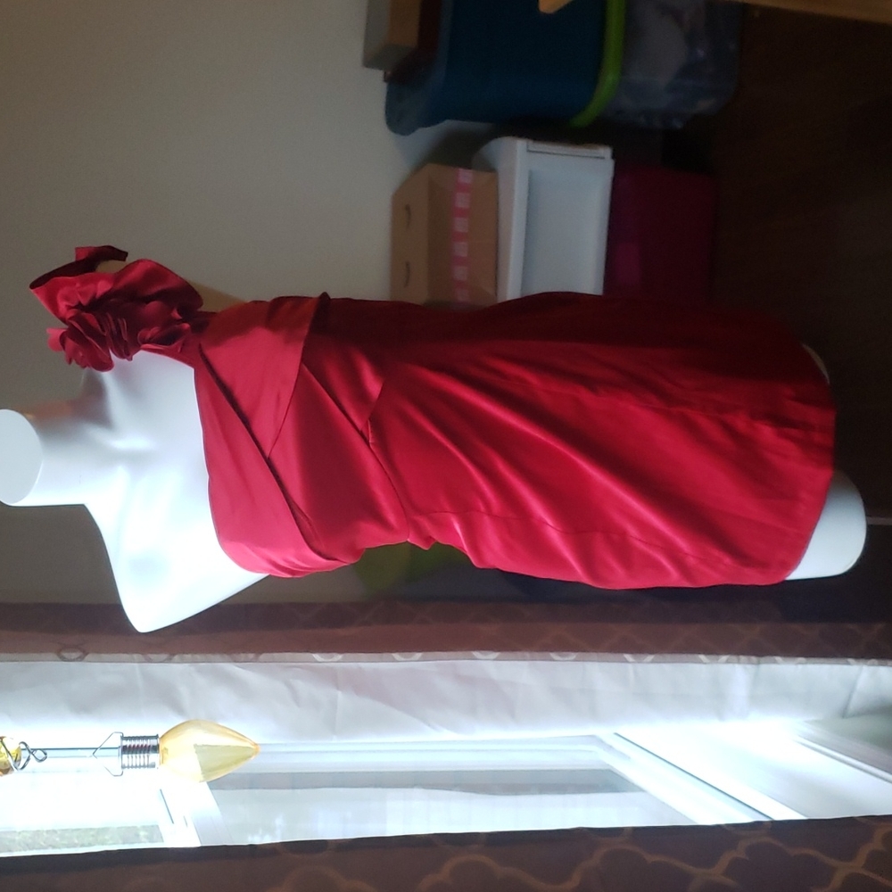 NWT Radiant Red Dress!